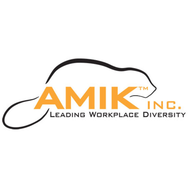 AMIK Inc