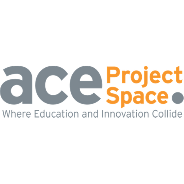 Ace Project Space